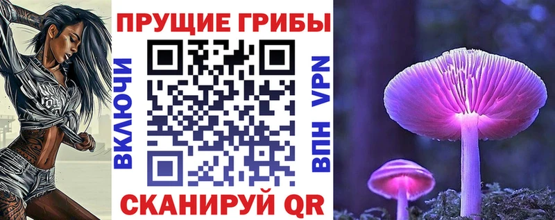 KRAKEN ССЫЛКА  даркнет сайт  Сим  Псилоцибиновые грибы Cubensis 